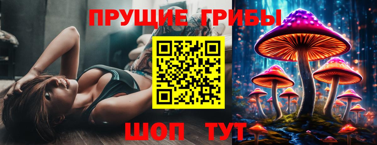 Галлюциногенные грибы Cubensis  Вход с VPN  Сердобск 