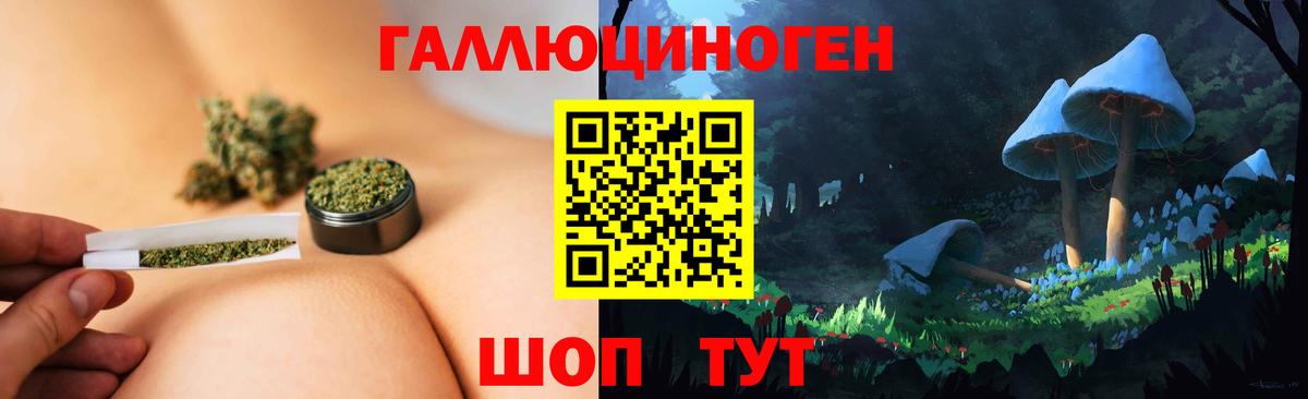 Галлюциногенные грибы Psilocybe Сердобск